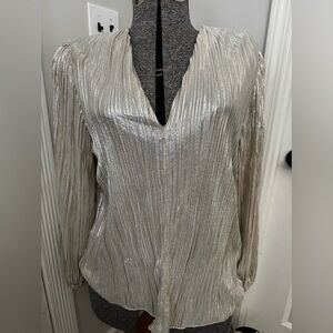 Women’s Chenault V-neck Silver Crinkle Long Sleeve Blouse Large